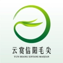 云赏信阳毛尖直装版