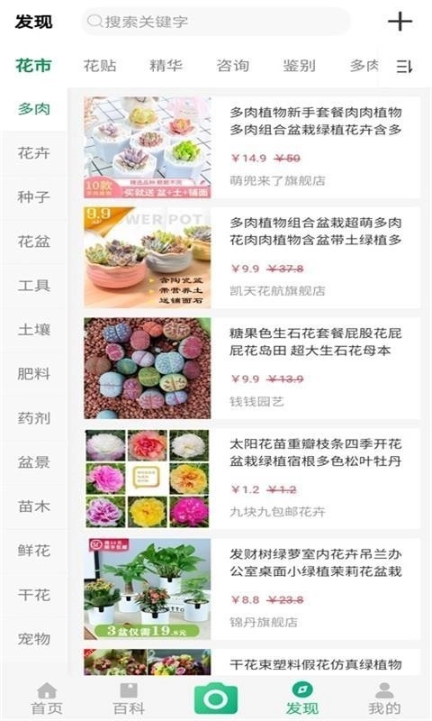 御花园养花正版下载