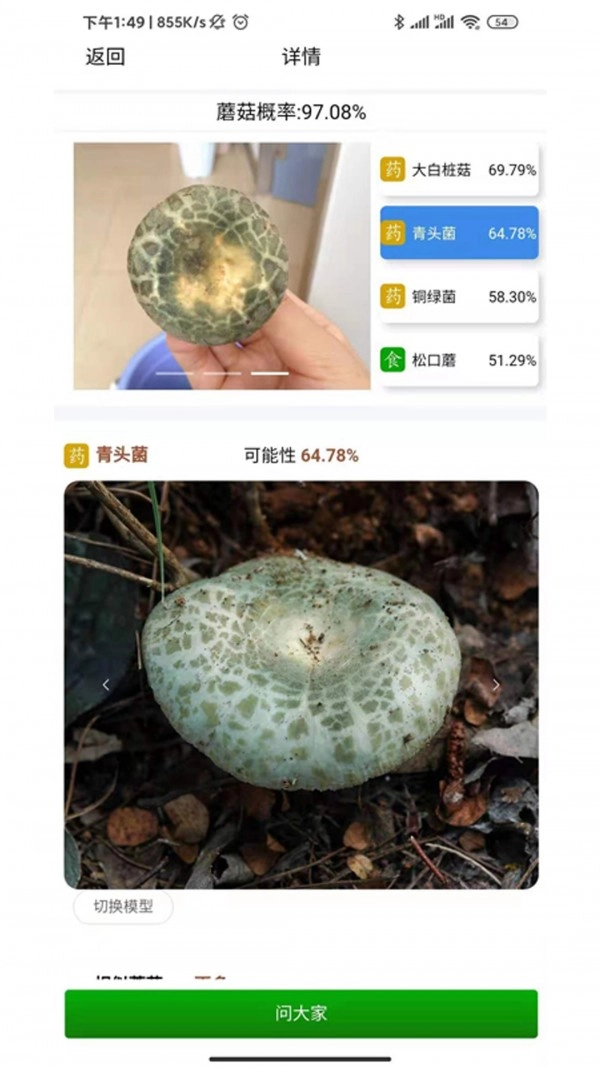 菌窝子正版图2