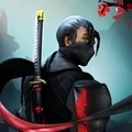 忍杀复仇直装游戏版