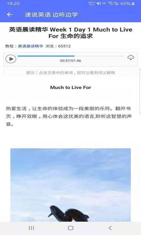 速说英语正版图3