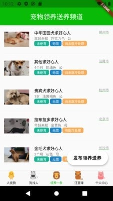 寻狗原版