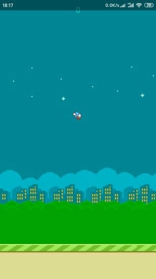 飞翔的小鸟5
