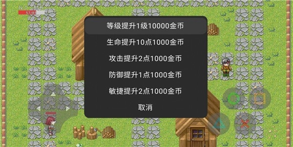 保护村庄游戏绿色版图2