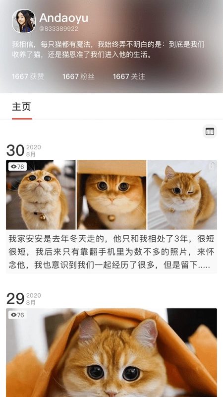 宠年年正版图2