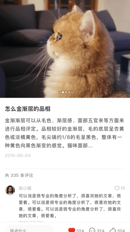 宠年年正版图3