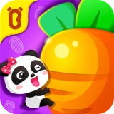 宝宝玩对比官方正版