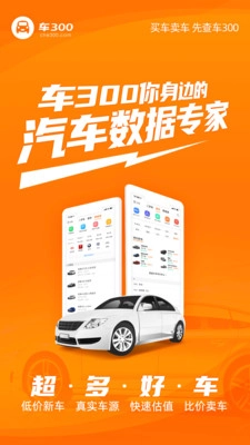 车300二手车手机免费版图2