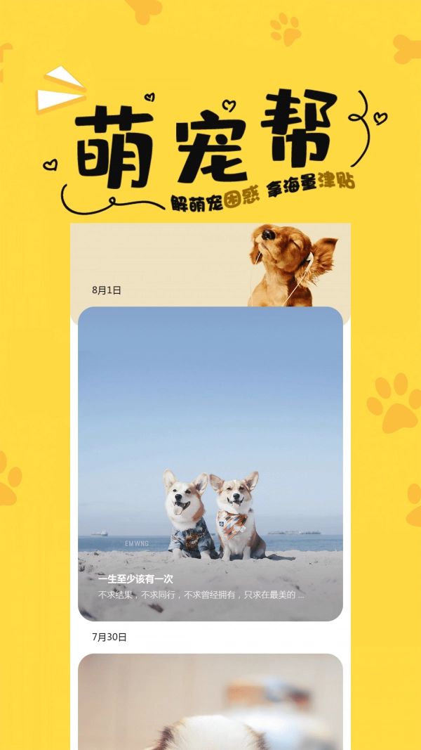 萌宠帮官方版图2
