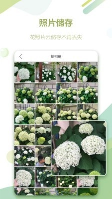 绿手指无广告版图1