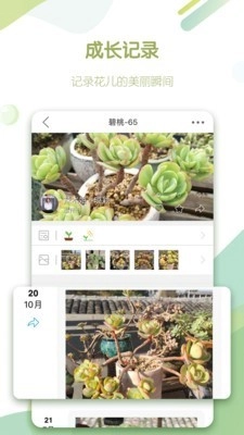 绿手指无广告版图3