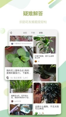 绿手指无广告版图5