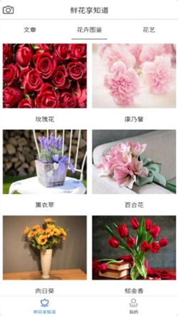 鲜花知识星球图1