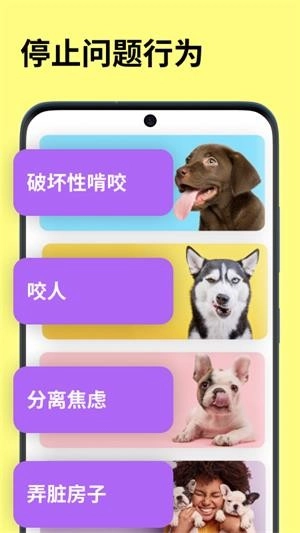 EveryDoggy最新版图1