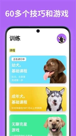 EveryDoggy最新版图2