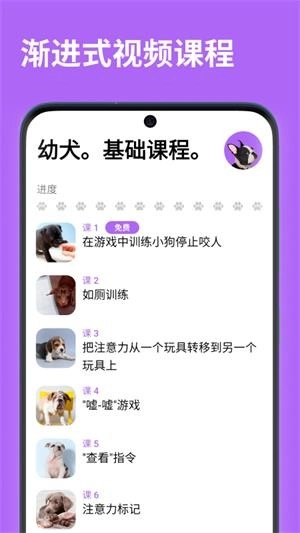 EveryDoggy最新版图4
