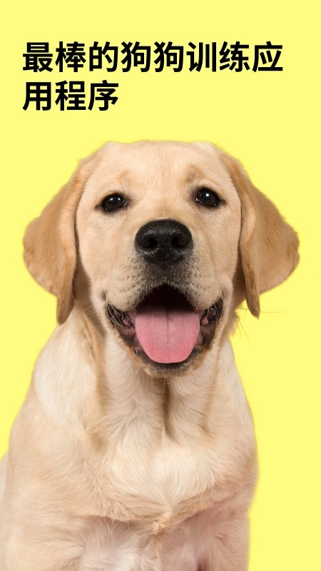 EveryDoggy最新版图5