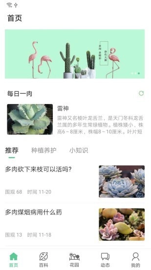 肉肉家直装版图1