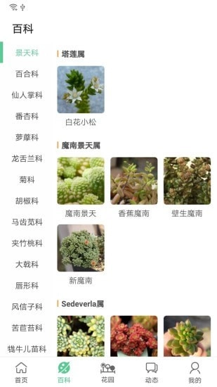 肉肉家直装版图2