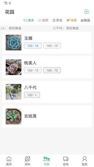 肉肉家直装版图3
