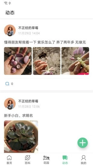 肉肉家直装版图4