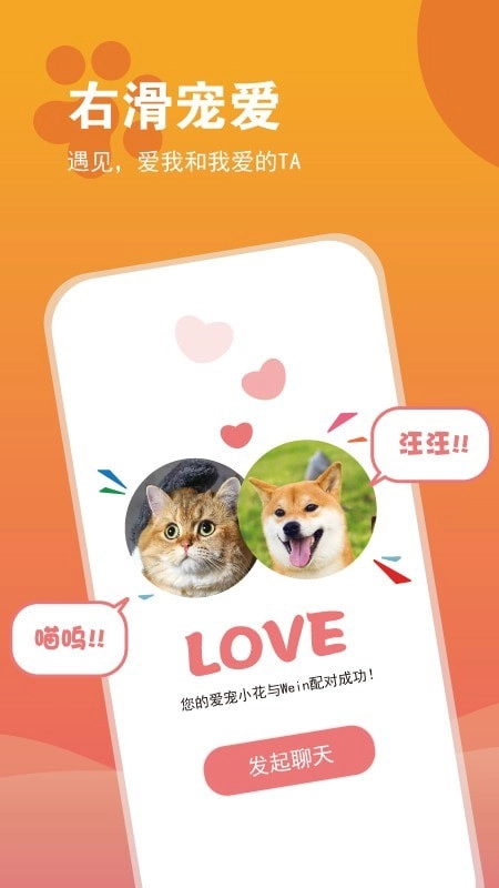 SHOW宠么手机版图4