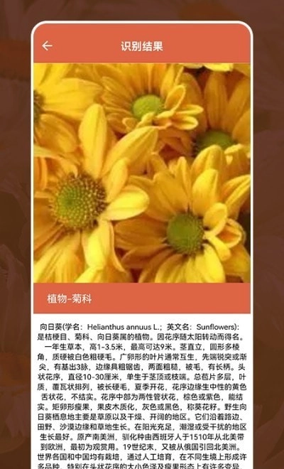 动植物识别大全截图1