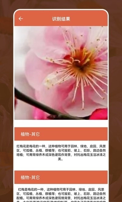动植物识别大全截图2