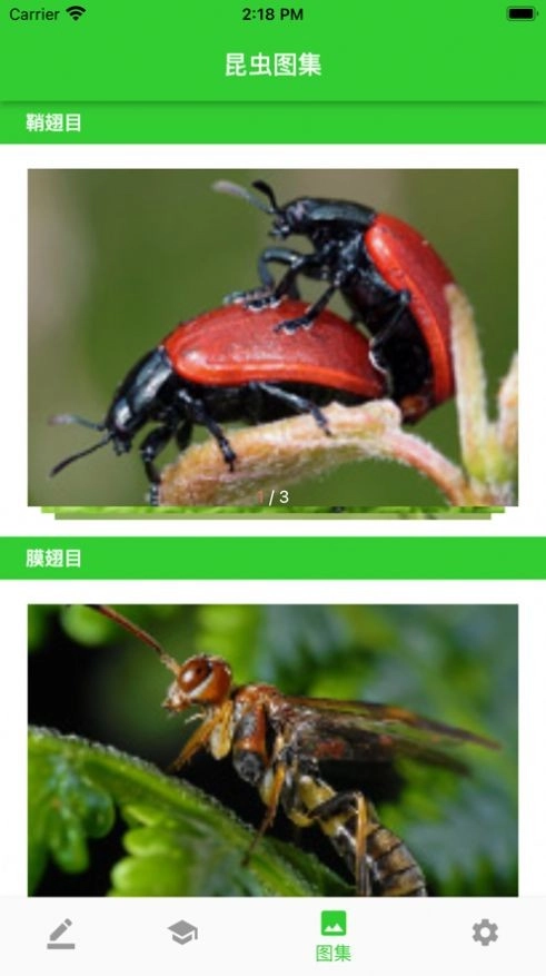 虫笔通用版图1