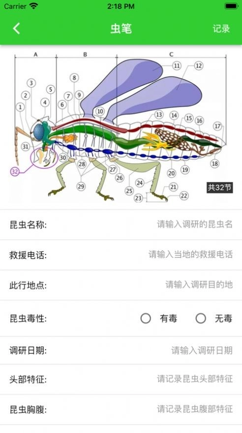 虫笔通用版图2