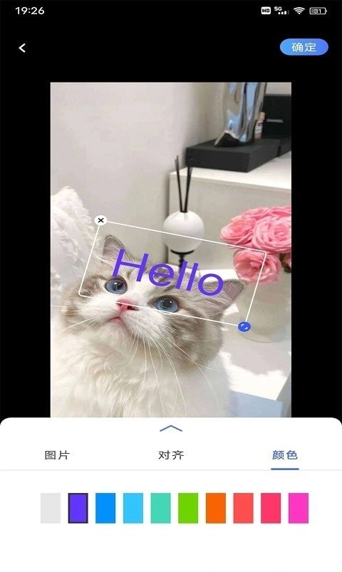 小猪翻译器最新版图2