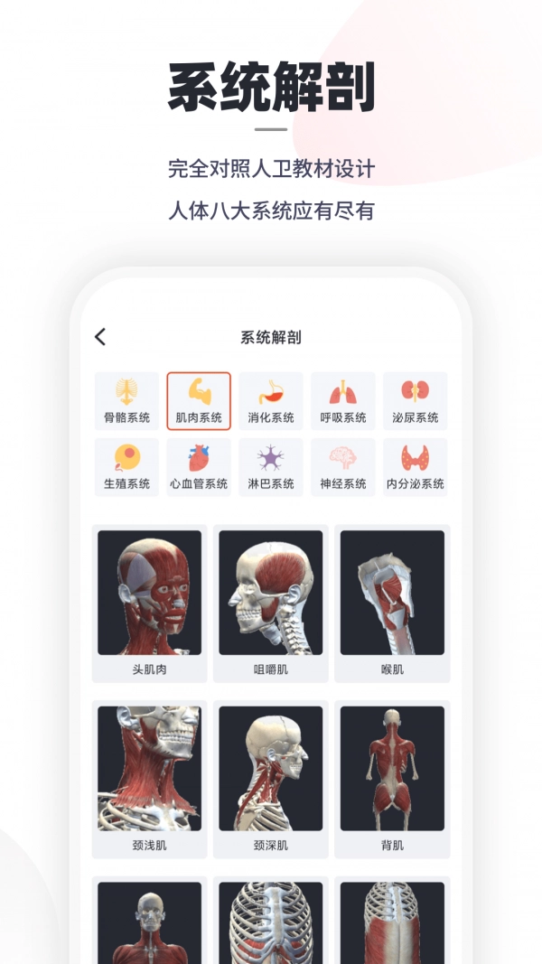 口袋人体解剖安卓官方版图2