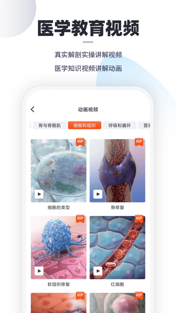 口袋人体解剖安卓官方版图3
