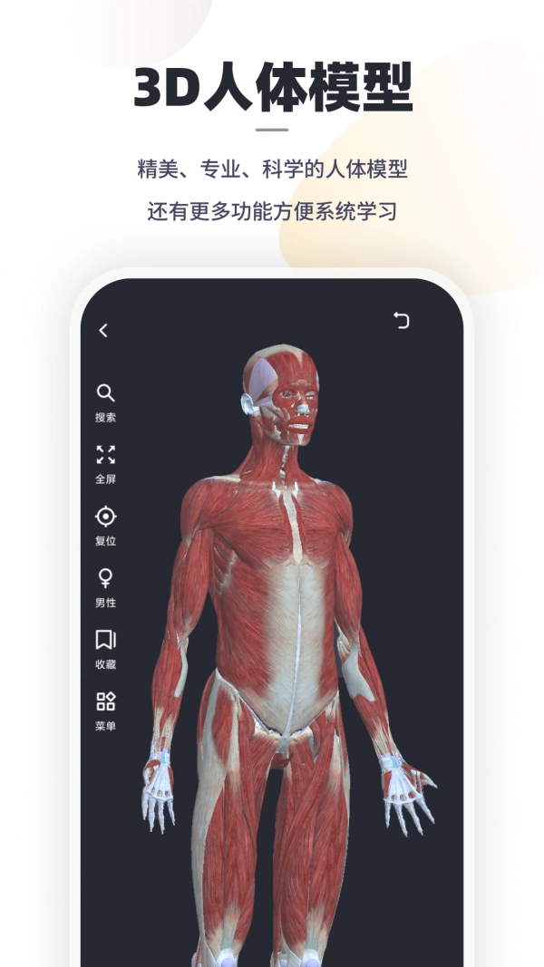 口袋人体解剖安卓官方版图4