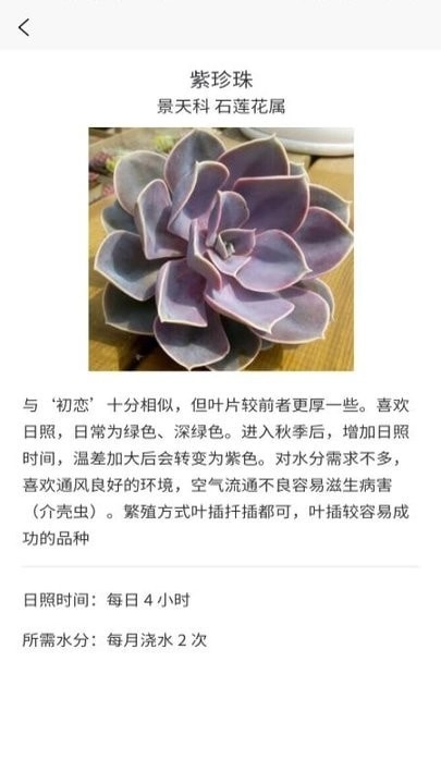 多肉大战官方正版图2