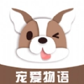 宠爱物语