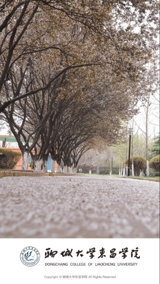 聊城大学东昌学院原版图4