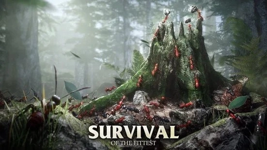 蚂蚁军团为了虫群图2