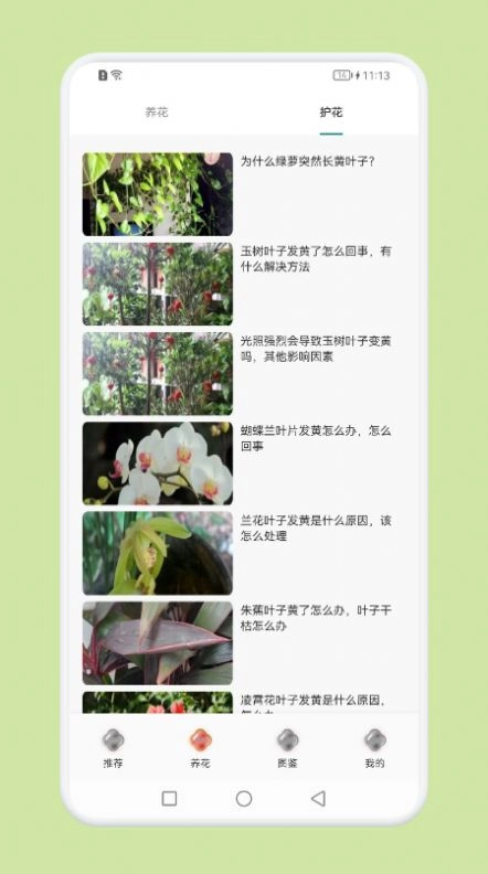 植物识别百科无广告版图1