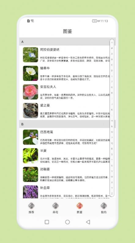 植物识别百科无广告版图3