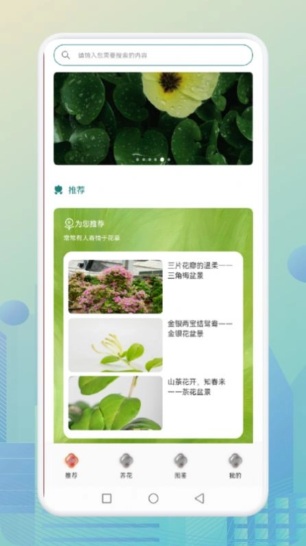 花优安卓直装版图2