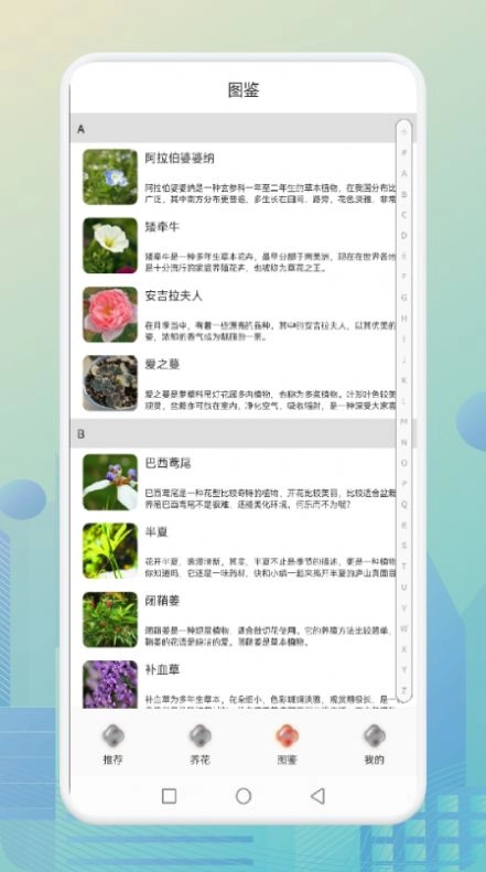 花优安卓直装版图3