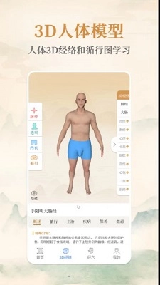 经络穴位艾灸大夫官方版图1