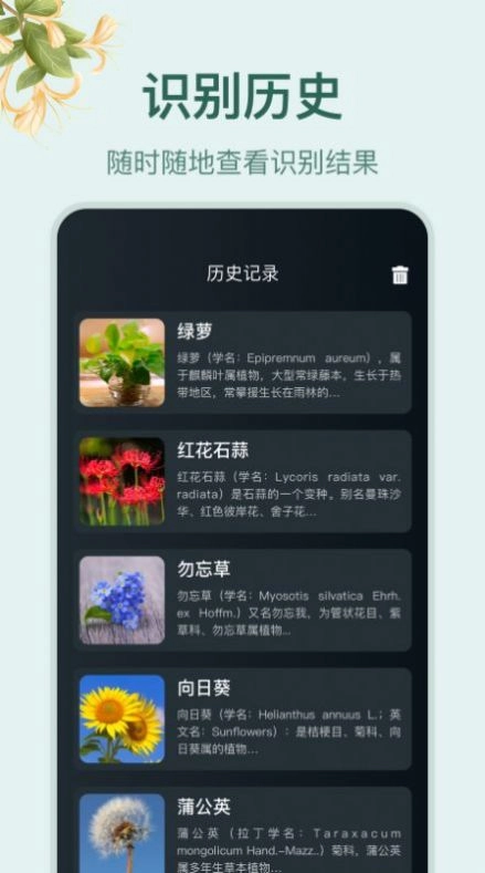 花草百科识别最新免费版图2