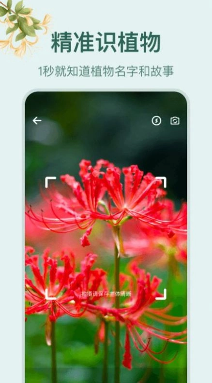 花草百科识别最新免费版图3