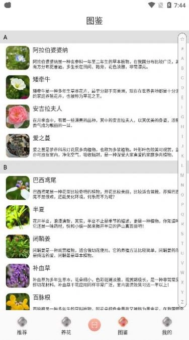 养花伴无广告版图3
