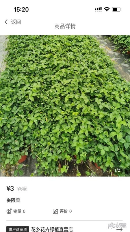 北京花卉手机免费版图3