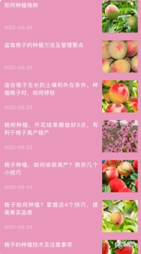 桃源生活录最新免费版图2
