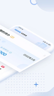 DS经营管理手机免费版图2