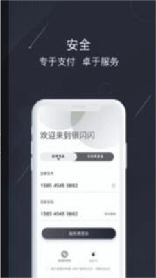 银闪闪无广告版图1